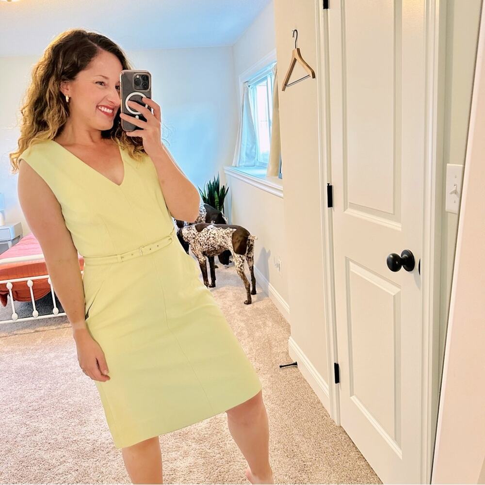 Diane Von Furstenberg Green Sheath Belted Mini Dress 10